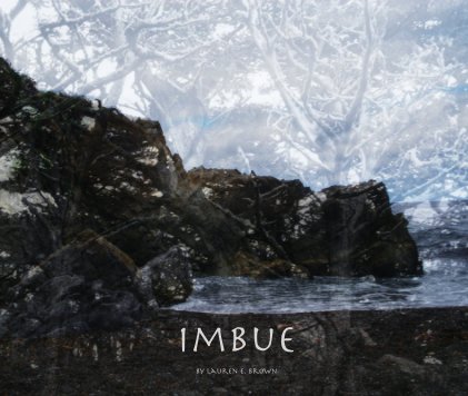 Imbue book cover