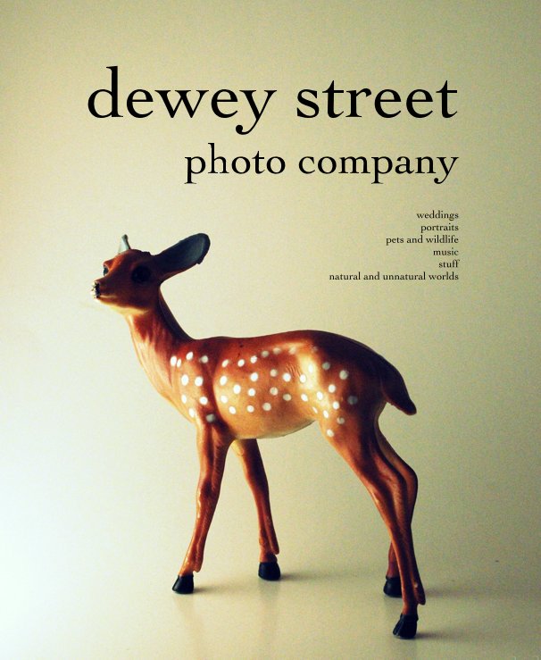 Visualizza dewey street photo company di dawn frary