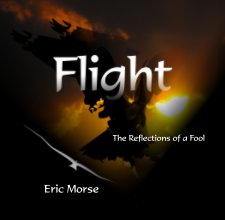 Flight book cover