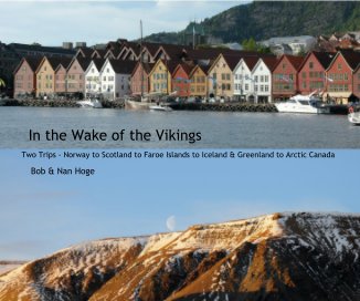 In the Wake of the Vikings book cover