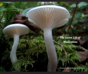 The Secret Life of Mushrooms book cover