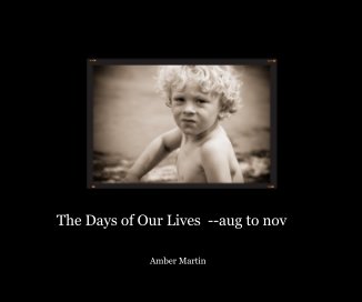 The The Days of Our Lives --aug to nov book cover