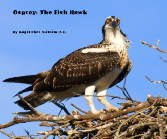Osprey: The Fish Hawk book cover