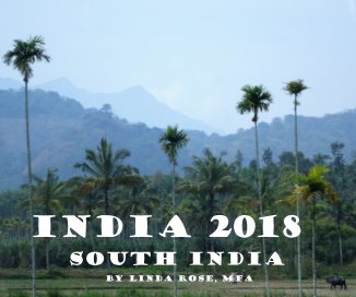 India 2018 South India book cover