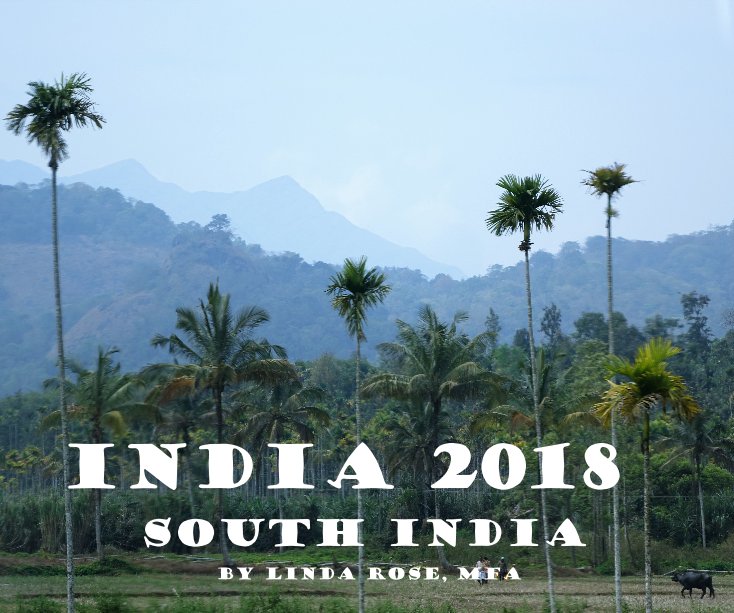 View India 2018 South India by Linda Rose, MFA