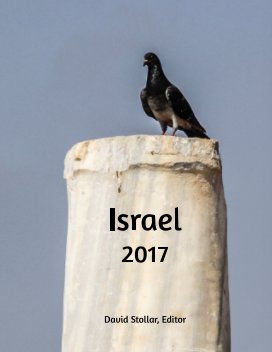 Israel 2017 book cover
