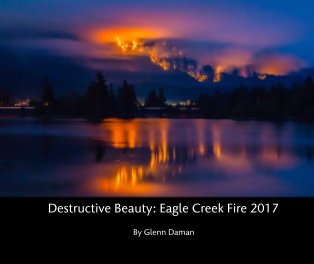Destructive Beauty: Eagle Creek Fire 2017 book cover
