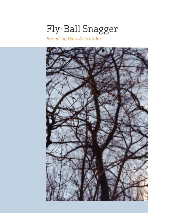 Visualizza Fly-Ball Snagger di Buzz Alexander