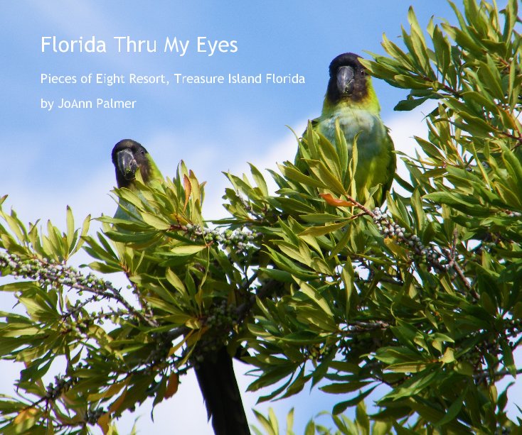 Visualizza Florida Thru My Eyes di JoAnn Palmer