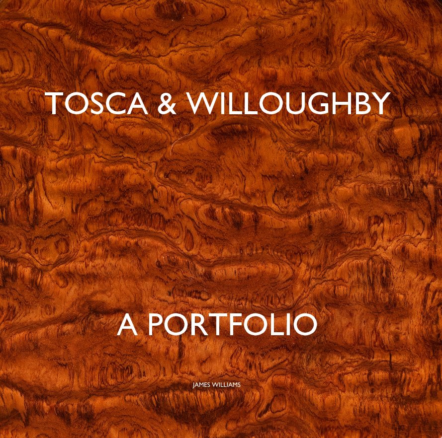 View TOSCA & WILLOUGHBY A PORTFOLIO by JAMES WILLIAMS