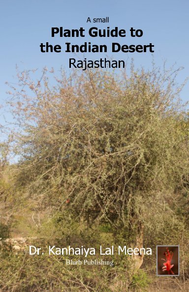 Visualizza A Small Plant Guide to the Desert  Rajasthan di Dr. Kanhaiya Lal Meena