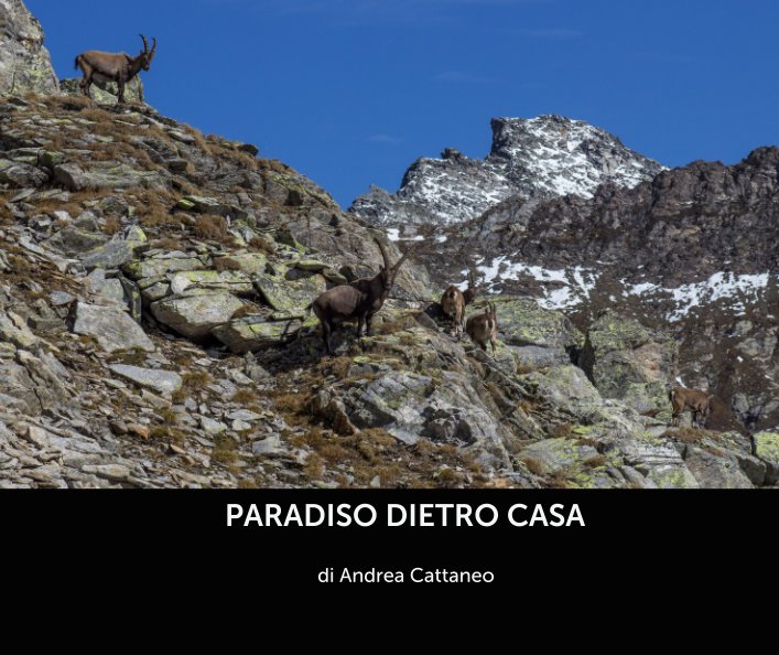 Visualizza PARADISO DIETRO CASA di di Andrea Cattaneo