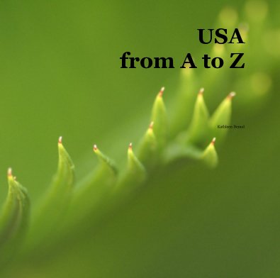 USA from A to Z book cover