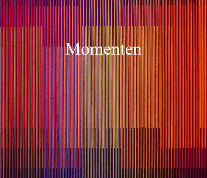 View Momenten 2017 by Frans van Leeuwen