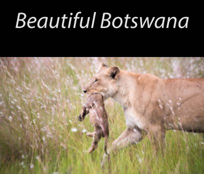 Beautiful Botswana book cover