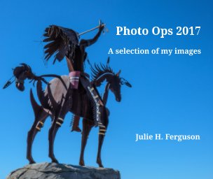 Photo Ops 2017 book cover