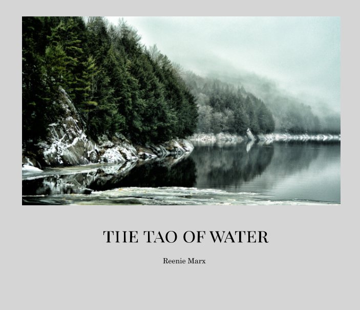Bekijk The Tao of Water op Reenie Marx