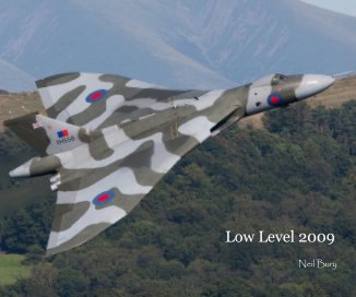Low Level 2009 book cover