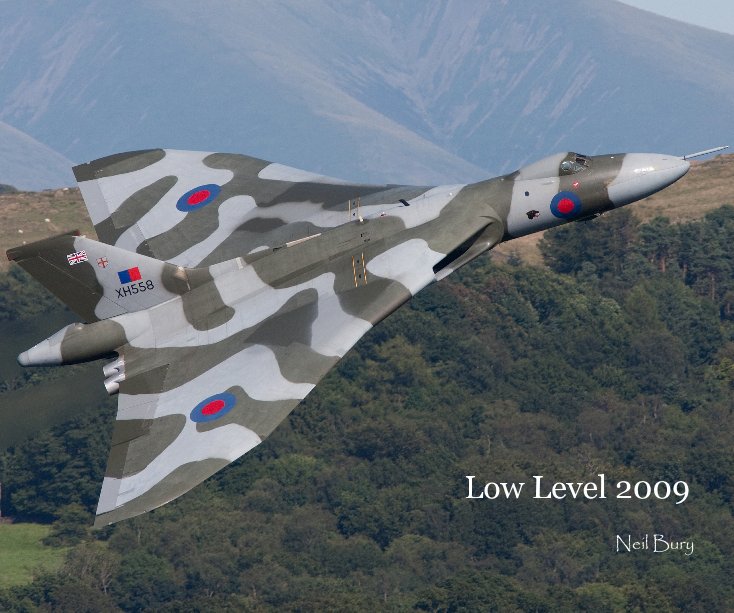 Ver Low Level 2009 por Neil Bury