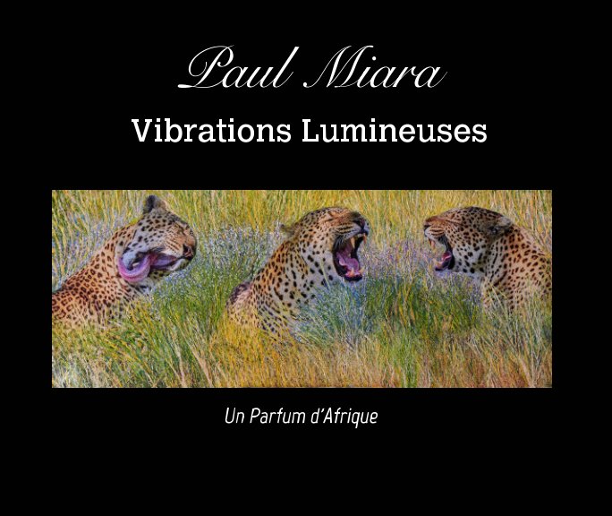Visualizza Vibrations Lumineuses di Jan-Erik Rottinghuis