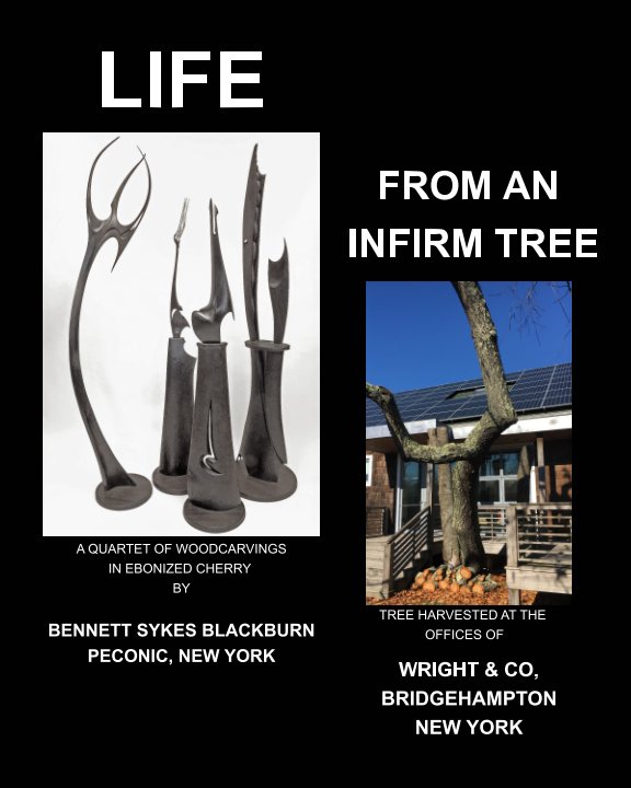 Bekijk LIFE FROM AN INFIRM TREE op Bennett Sykes Blackburn