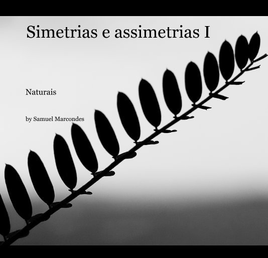 View Simetrias e assimetrias I by Samuel Marcondes
