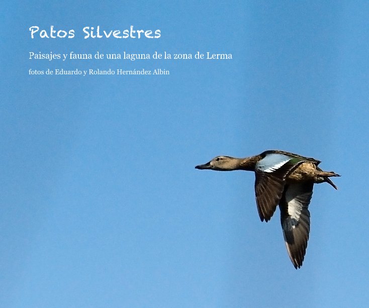 View Patos Silvestres by fotos de Eduardo y Rolando Hernández Albin