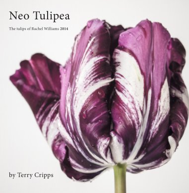 Neo Tulipea book cover
