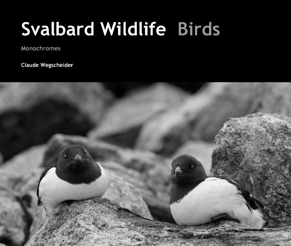 Svalbard Wildlife Birds nach Claude Wegscheider anzeigen