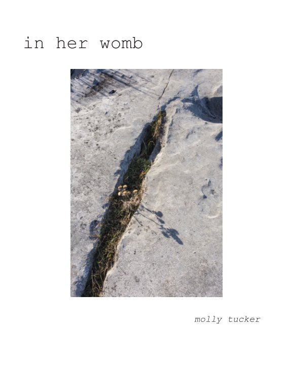 View In Her Womb by Molly Tucker