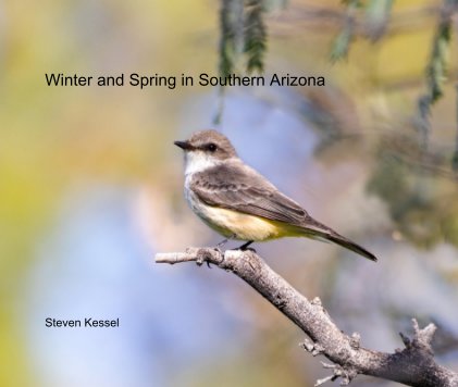 Winter and Spring in Southern Arizona book cover