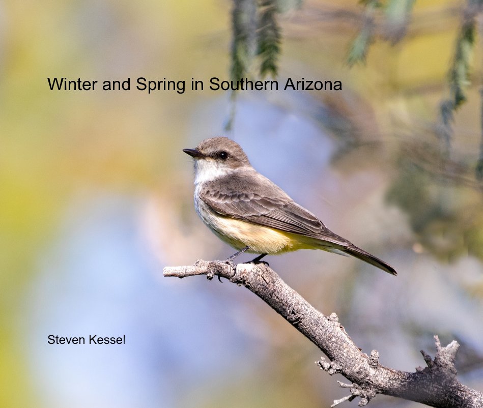 Ver Winter and Spring in Southern Arizona por Steven Kessel