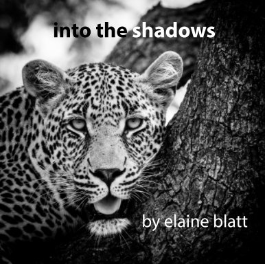 into the shadows book cover