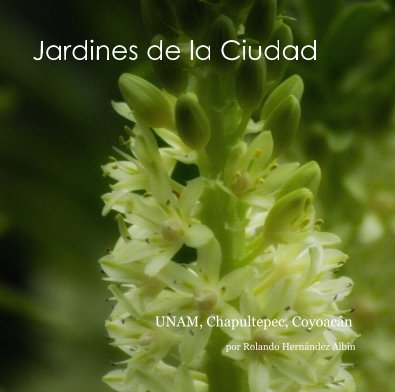 Jardines de la Ciudad book cover