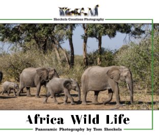 Africa  Wild  Life book cover