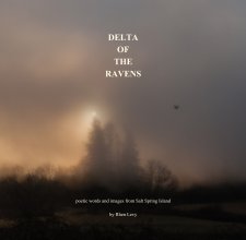 Delta of the Ravens book cover