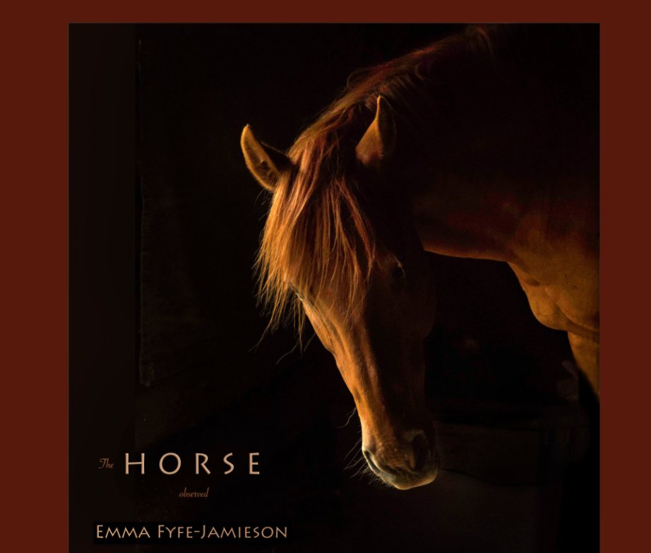 View The Horse Observed by Emma Fyfe-Jamieson