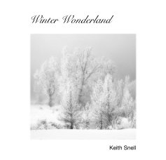 Winter Wonderland book cover