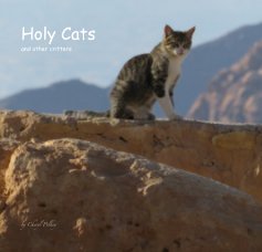 Holy Cats and other critters book cover