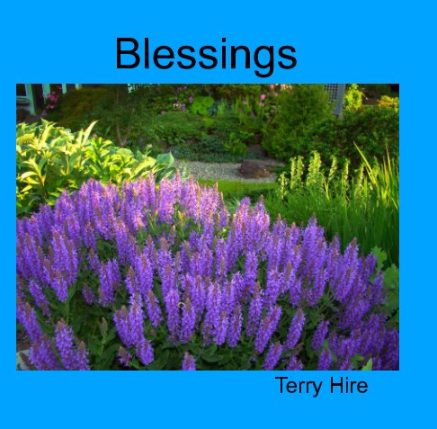 Visualizza Blessings di Terry Hire