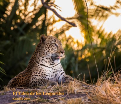 El Edén de los Leopardos book cover