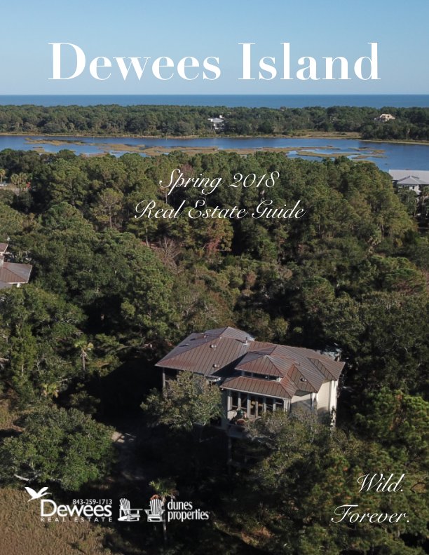 View Dewees Island by Judy Fairchild