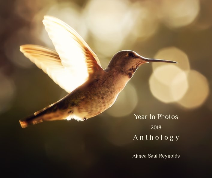 View Years In Photos 2007-2017 Anthology by Aimea Saul Reynolds