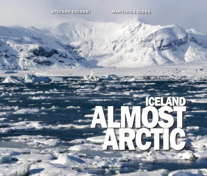 Almost Arctic book cover