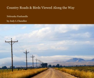 Country Roads & Birds Viewed Along the Way book cover