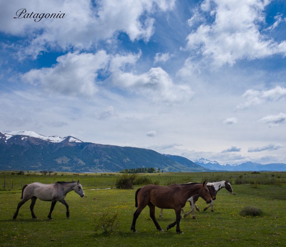 View Patagonia e Terra del Fuoco by David Salamena