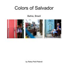 Colors of Salvador book cover