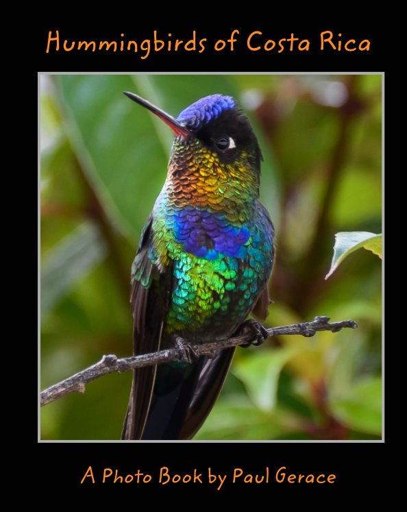View Hummingbirds of Costa Rica
            A Photo Book by Paul Gerace