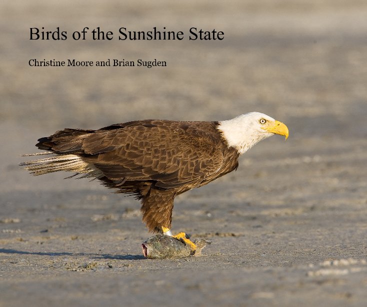 View Birds of the Sunshine State by Christine Moore - Brian Sugden