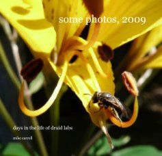 some photos, 2009 book cover